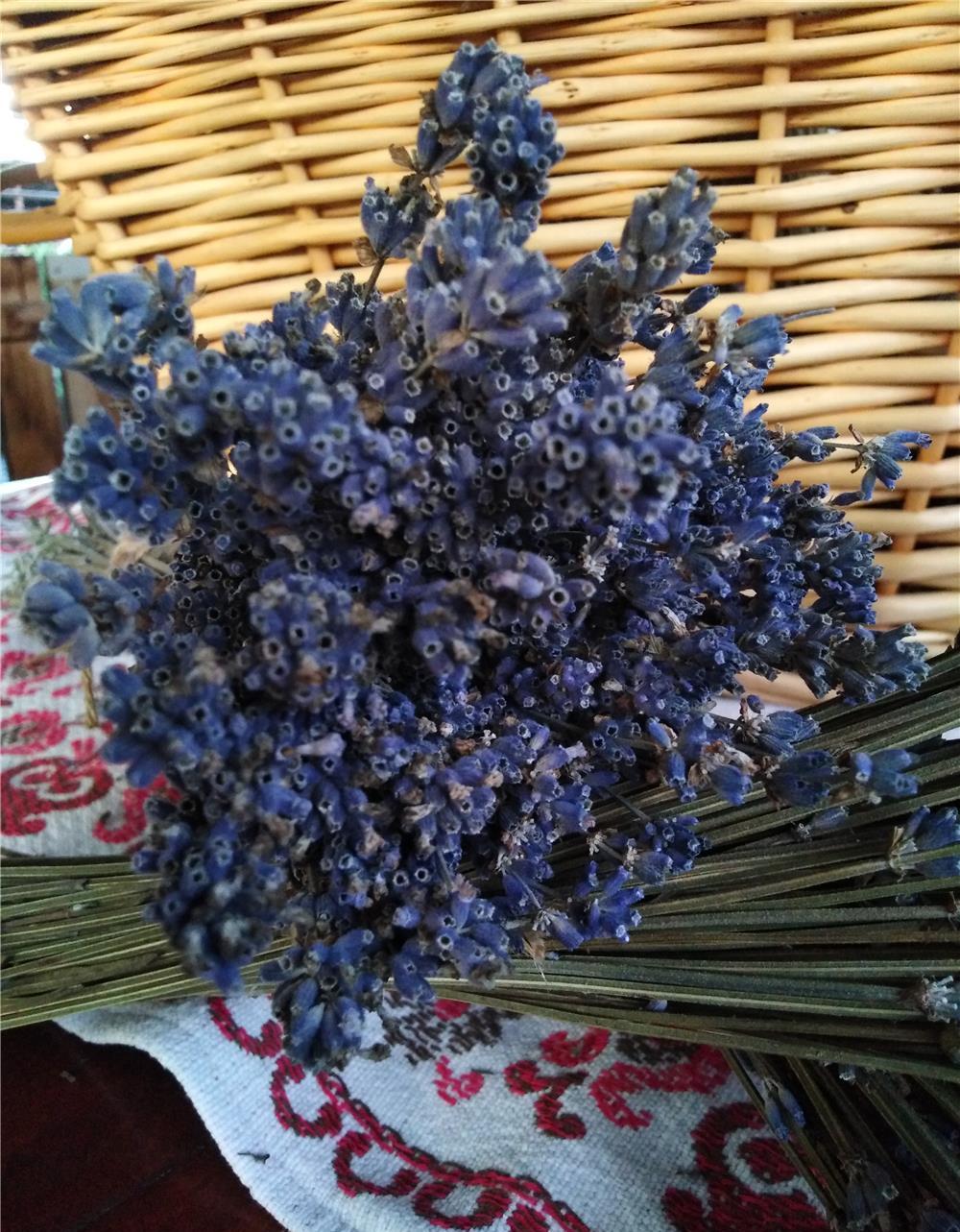 buchete lavanda