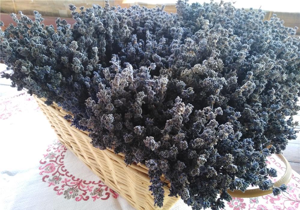 buchete lavanda