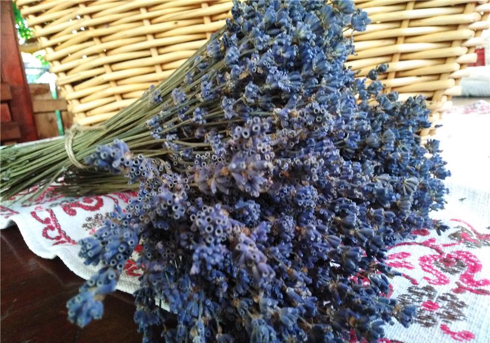 buchete lavanda