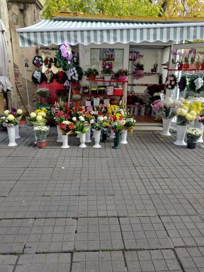 butic pentru activitati comerciale