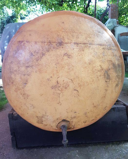 butoi 500 l fibra de sticla