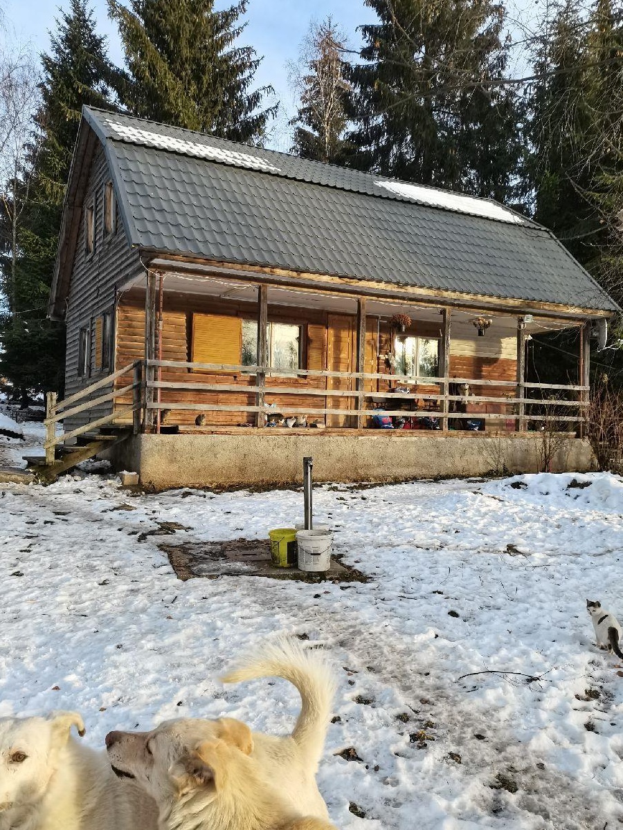 Cabană la cota 1100 m
