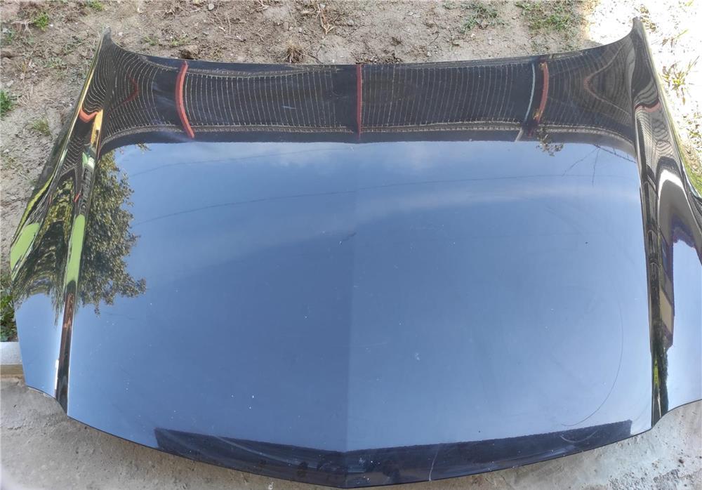 Capota si Aripi fata Opel Insignia 2010