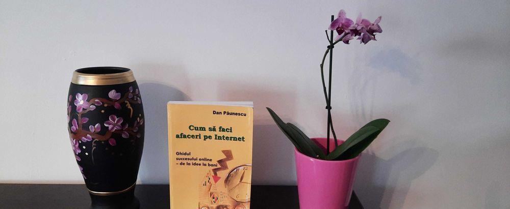 Cartea Afaceri pe Internet-Ghidul Succesului Online de la Idee la Bani