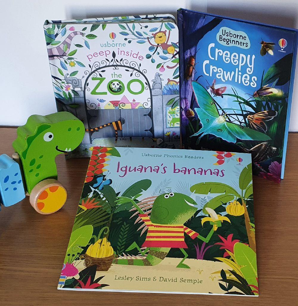 Cărți Usborne copii