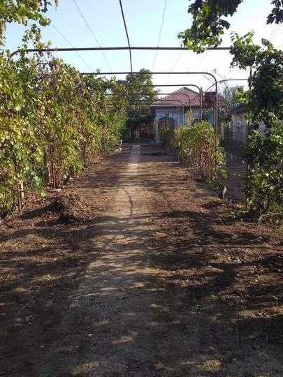 Casa 127 m2 + Dependinte + Curte 1100 m2