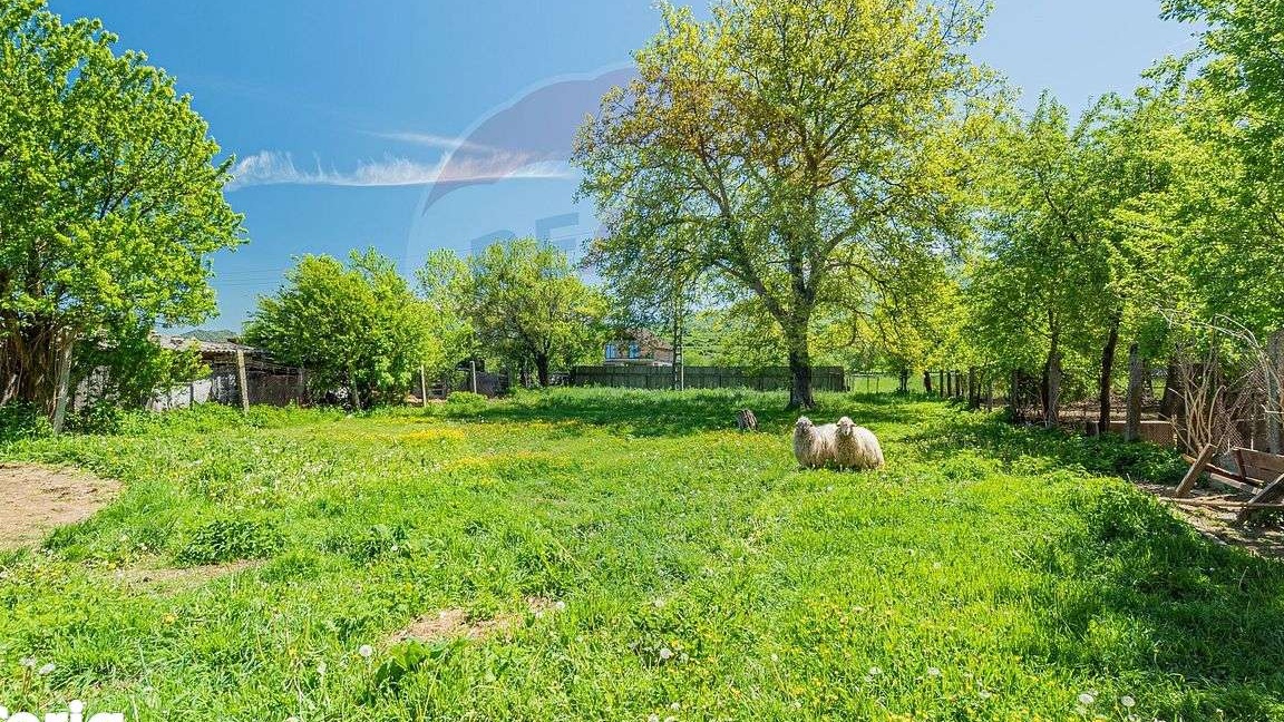 Casa 3 camere, 1408 teren - Zarnesti - Gospodarie in toata regula!