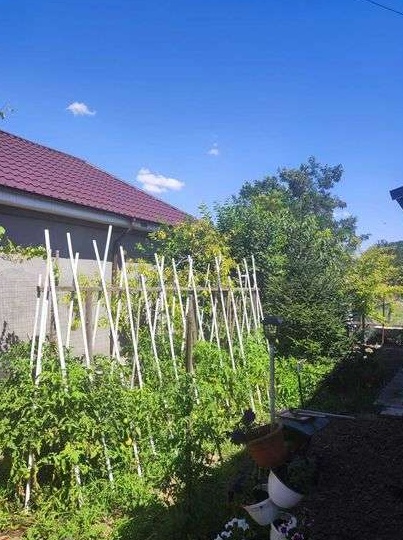 Casa 3 camere plus garsoniera cu intrare separata