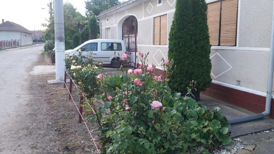 Casă 3 camere ,toate utilitățile, terasă, gradină + teren intravilan