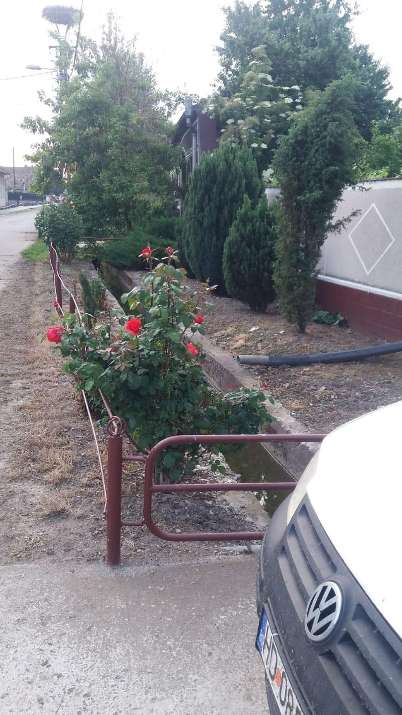 Casă 3 camere ,toate utilitățile, terasă, gradină + teren intravilan
