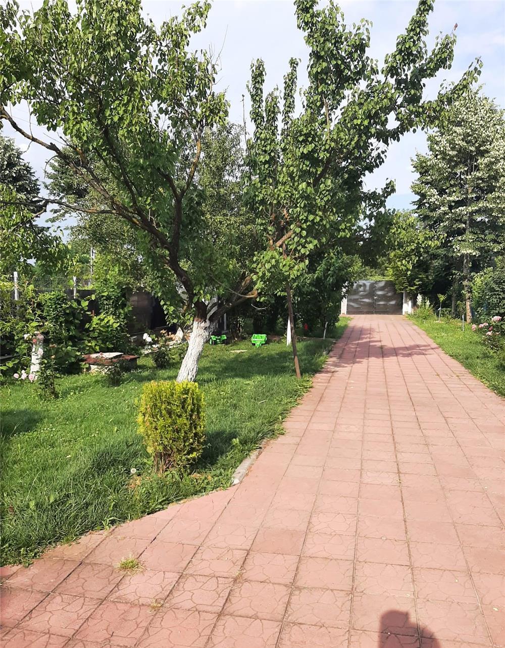 Casa 4 camere,2 curti,livada,sera,2 terase ,70 km Bucuresti
