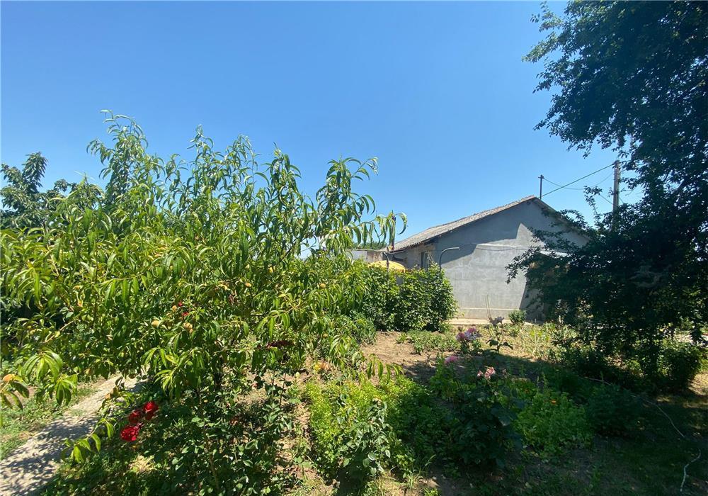 Casa 90 mp, 2 dormitoare, bucatarie + baie + hol. Suprafata teren 2.000 mp