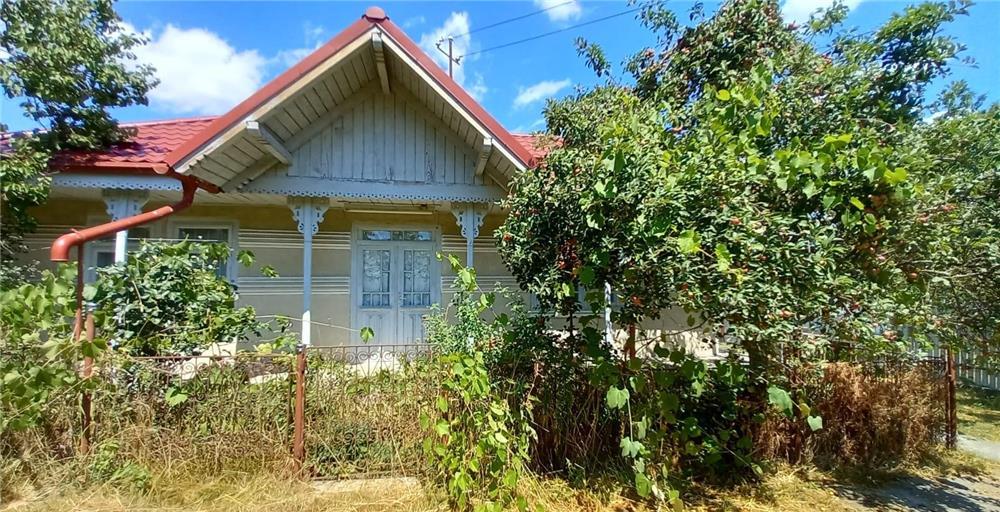 Casa + anexa + curte + livada + vie + 2 fantani+padure, Siscani, Hoceni, Husi