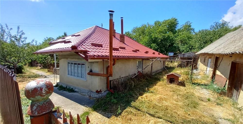 Casa + anexa + curte + livada + vie + 2 fantani+padure, Siscani, Hoceni, Husi