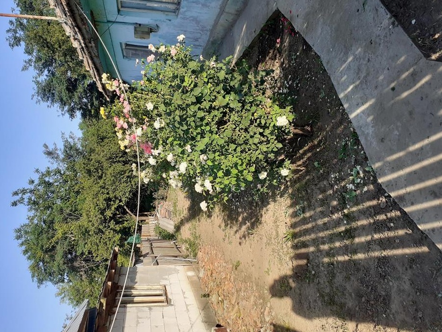 Casă bătrânească de vanzare Bucu Ialomița