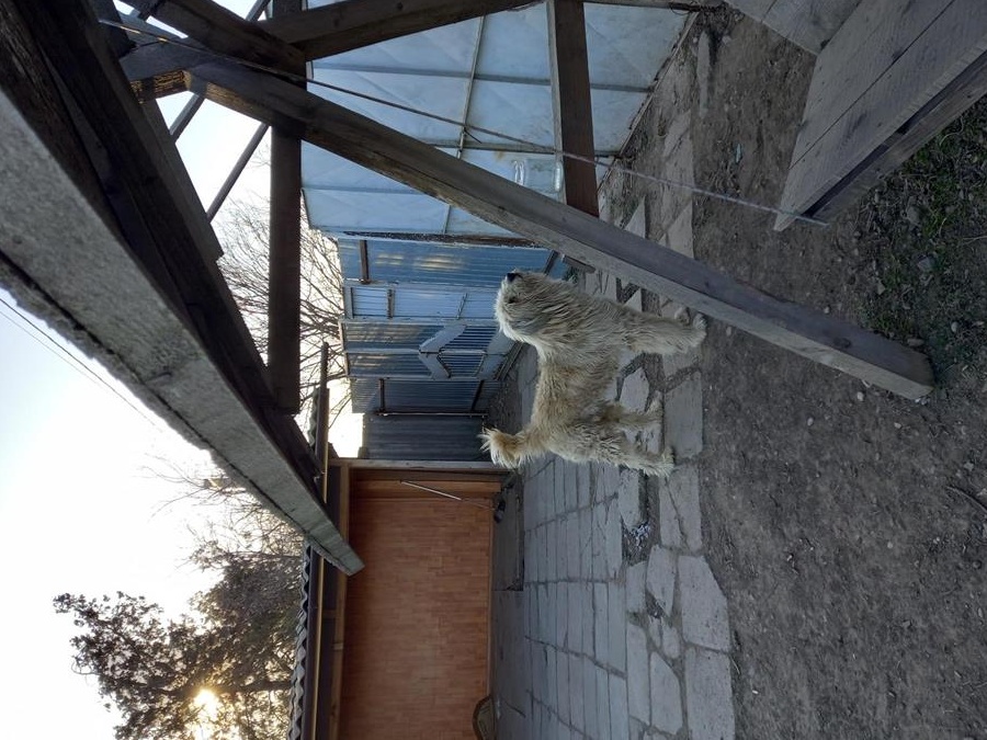 Casa batraneasca Lacu Sarat Braila