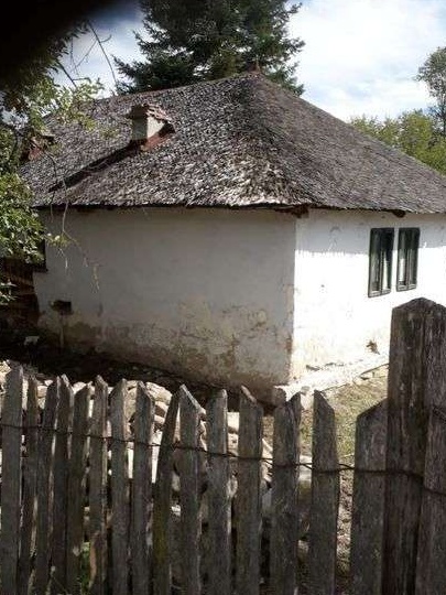 Casa bătrânească + teren- Surani, Prahova