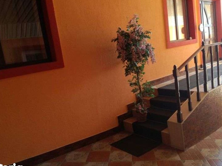Casa cu 2000 mp teren si afacere