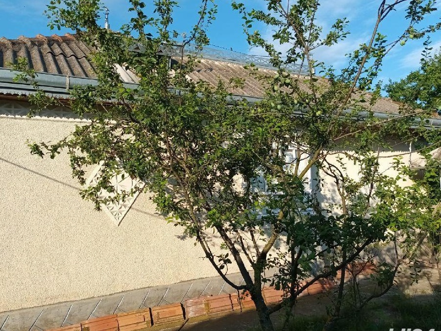 casa cu 3 camere