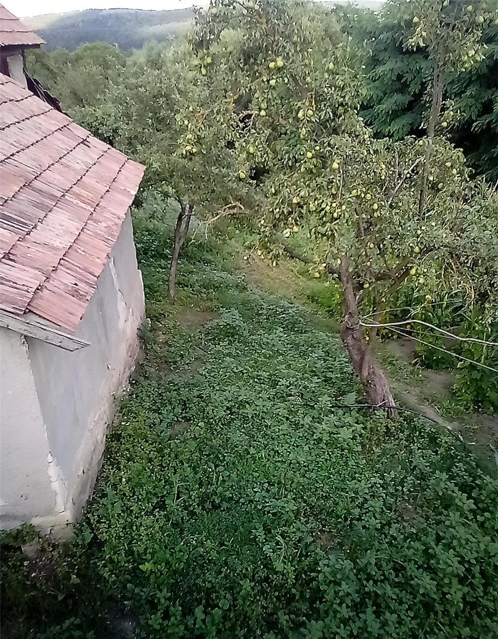 Casa cu teren de vinzare