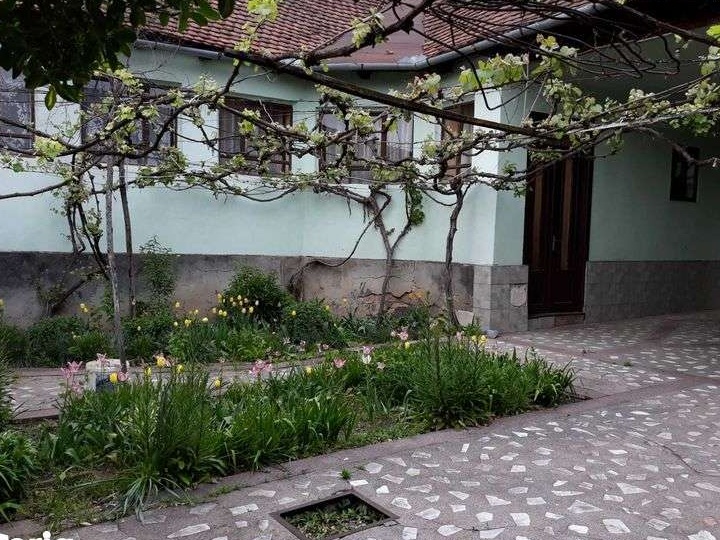 Casa cu teren generos la 5 km de Sebis