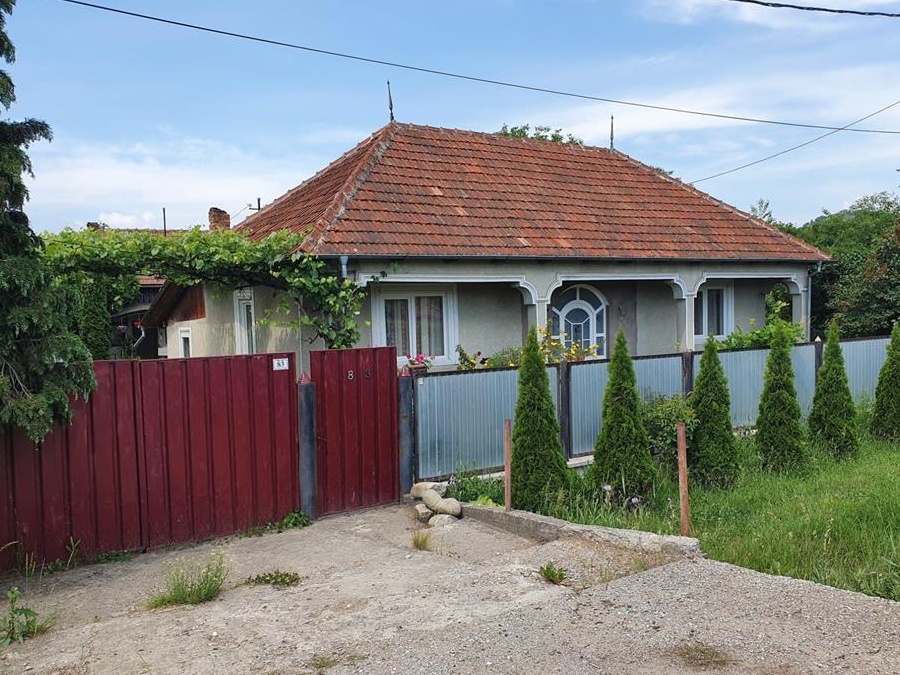 Casă cu teren și livadă