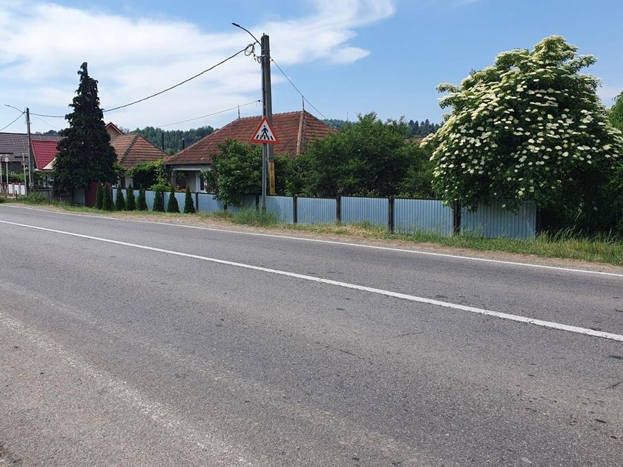 Casă cu teren și livadă