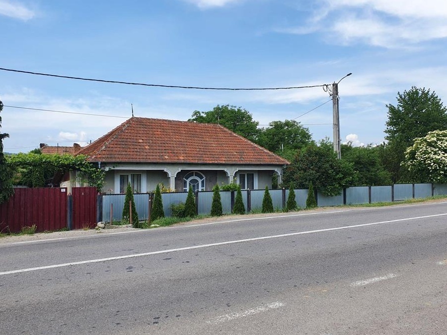 Casă cu teren și livadă