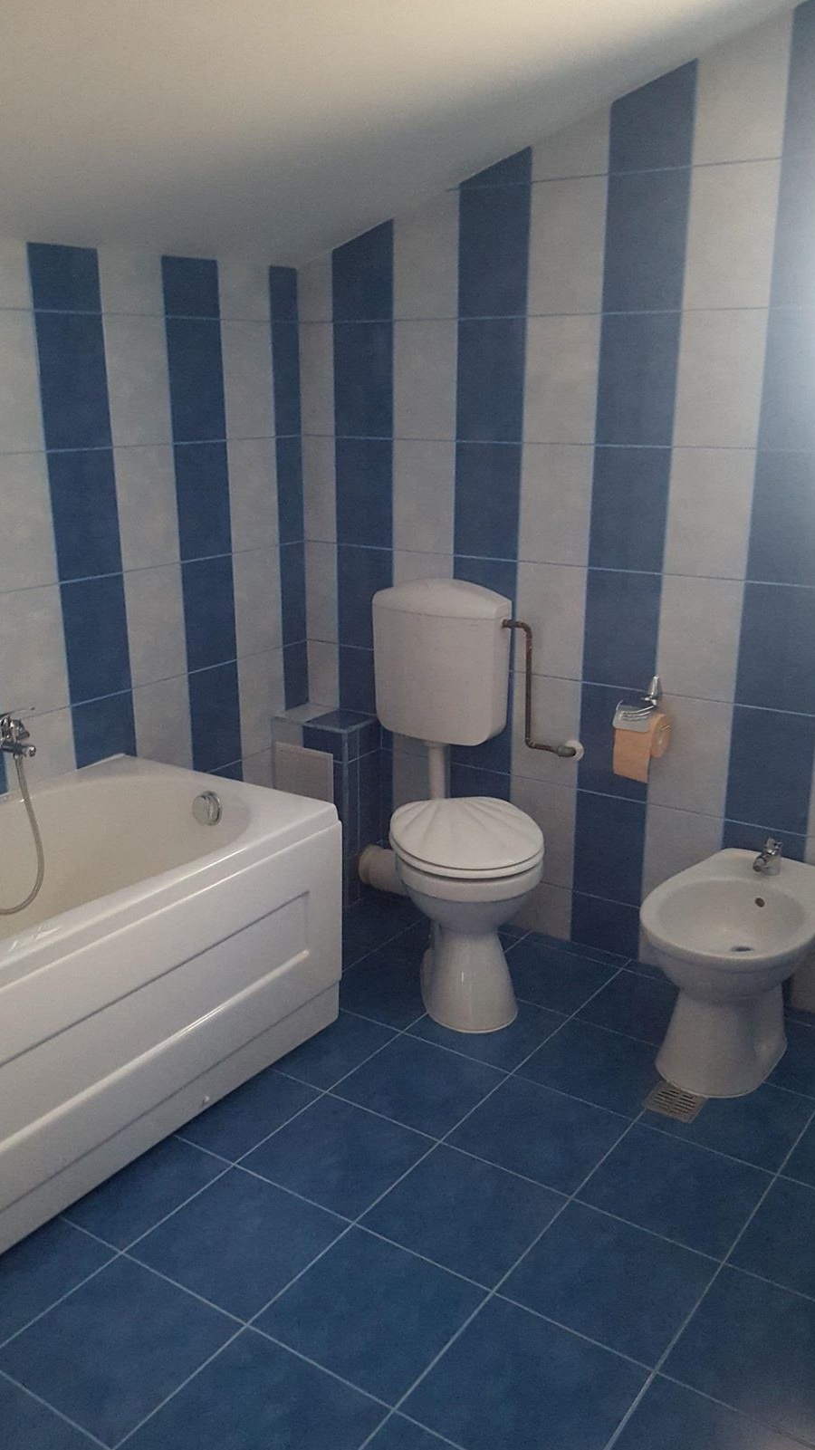 Casa de inchiriat  Zona Bucium (Plopii fara sot)