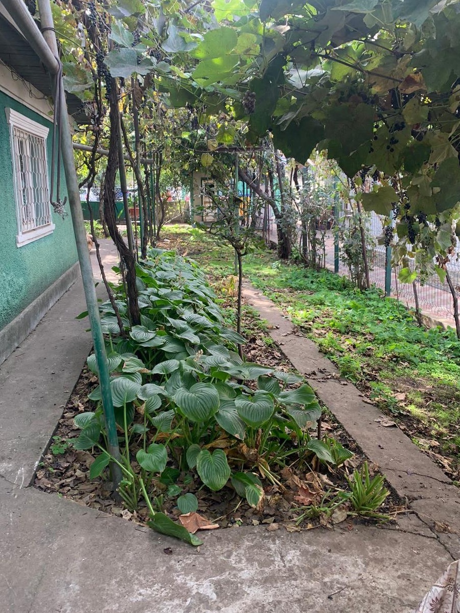 Casa de va zare