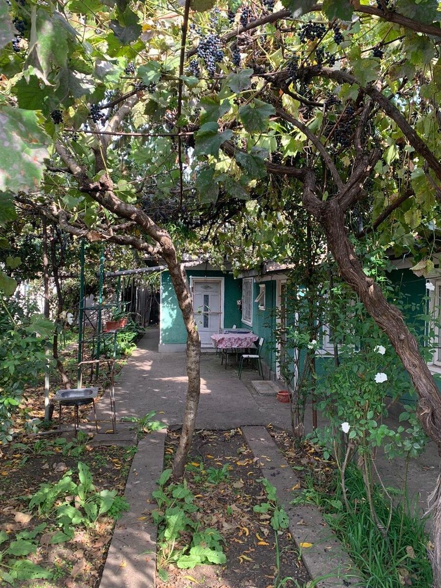 Casa de va zare