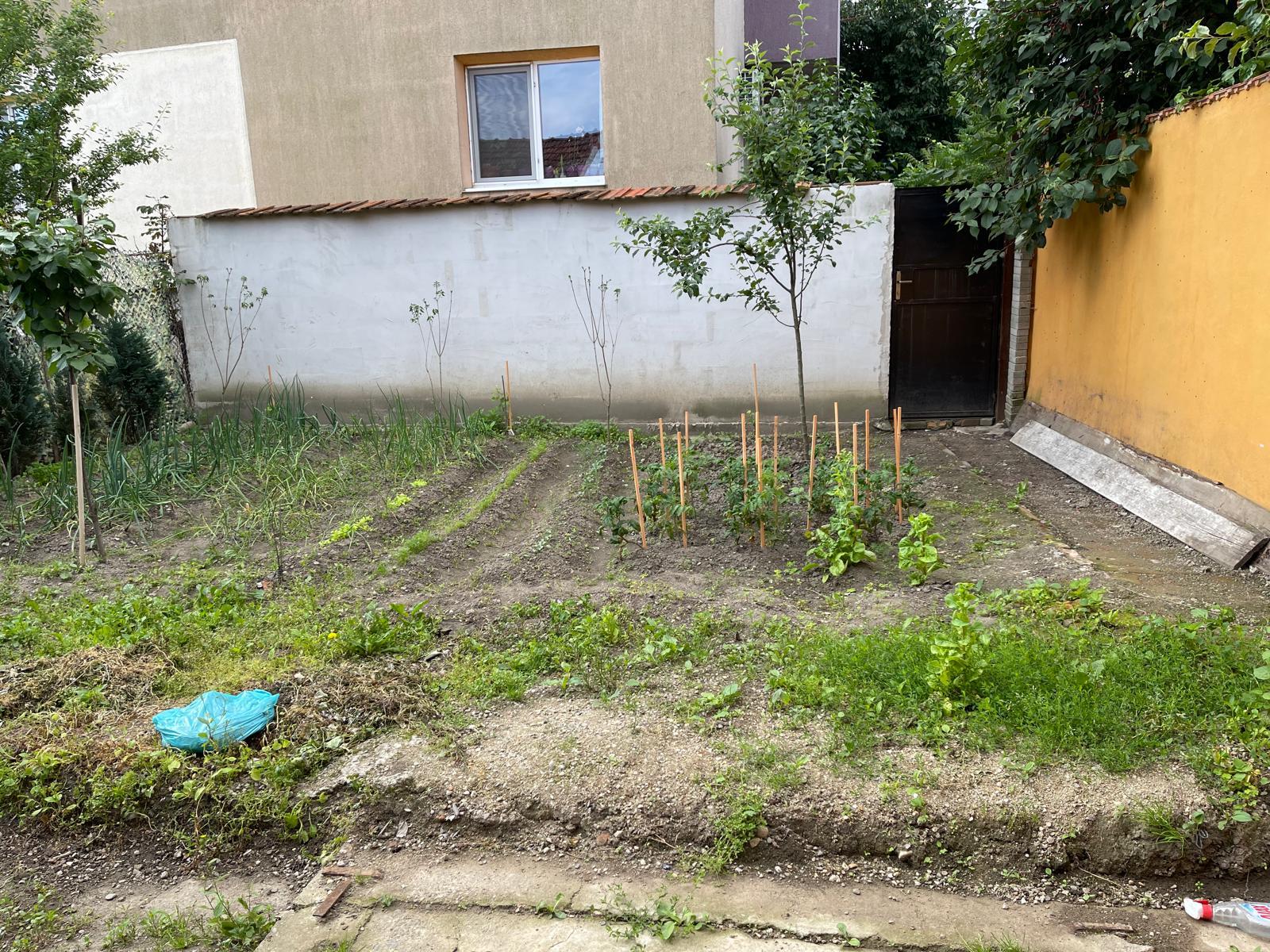 Casa de vanzare
