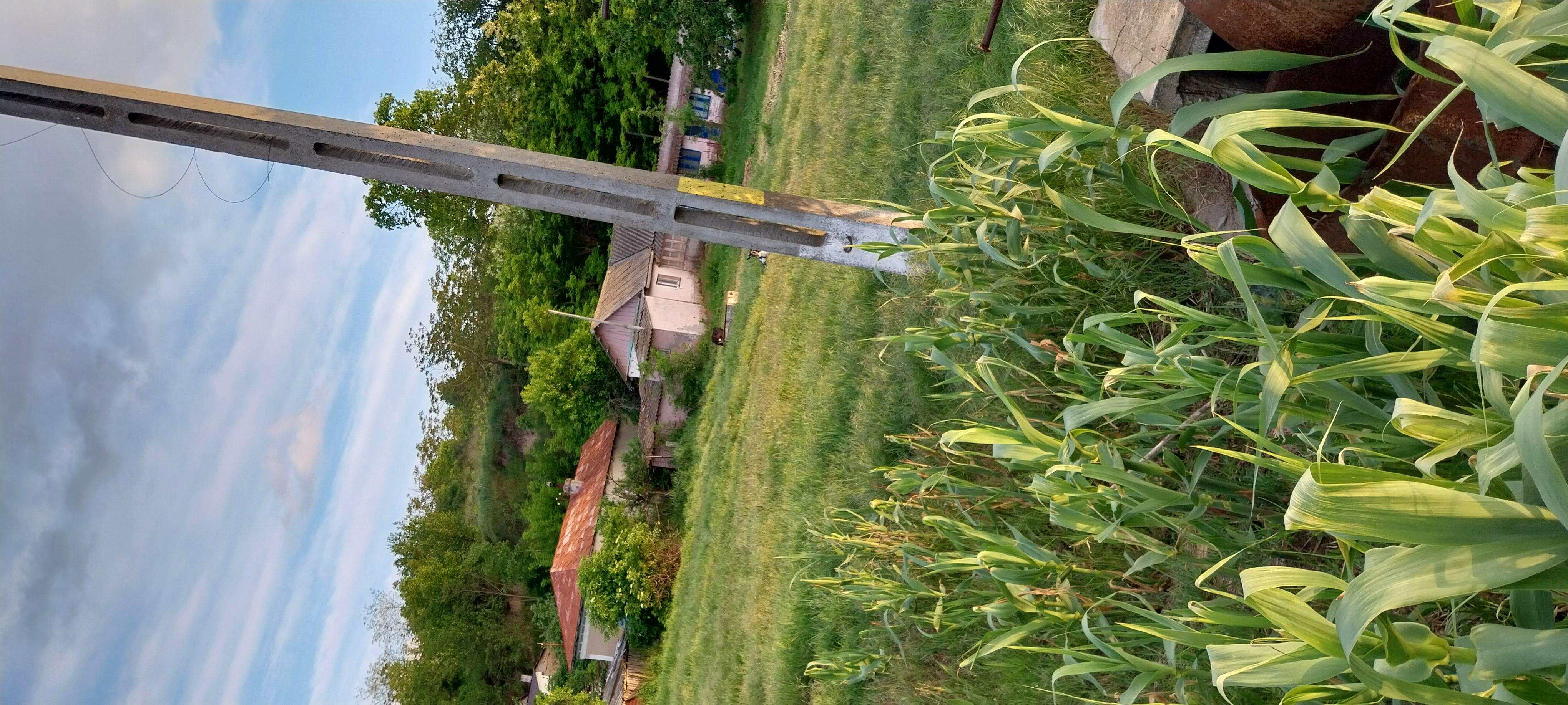Casa de vanzare