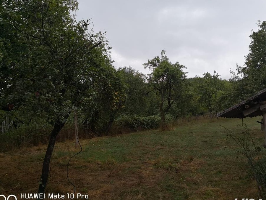 Casa de vanzare, Crisan, Hunedoara