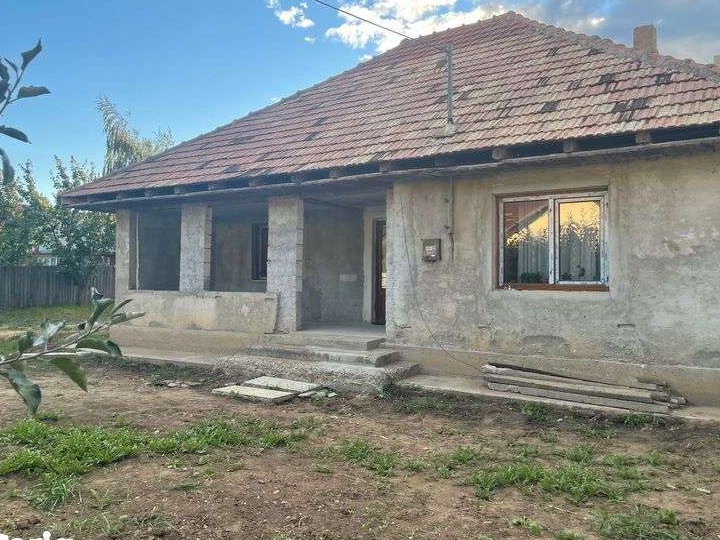 Casa de vanzare cu beci și 3000 teren