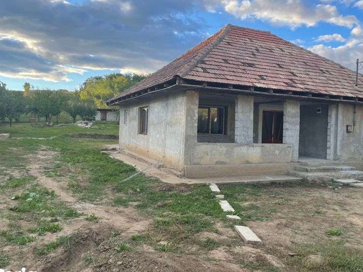 Casa de vanzare cu beci și 3000 teren