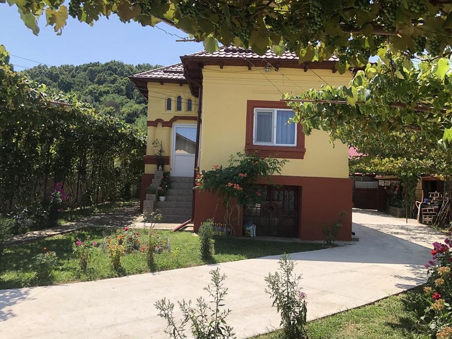 Casa de vanzare Dobrogostea, Arges