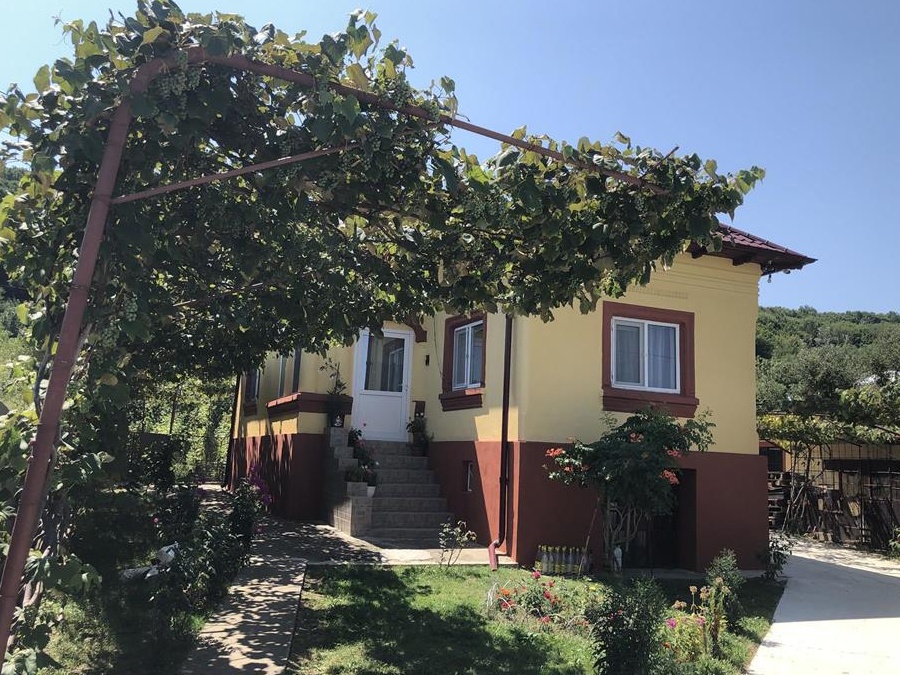 Casa de vanzare Dobrogostea, Arges