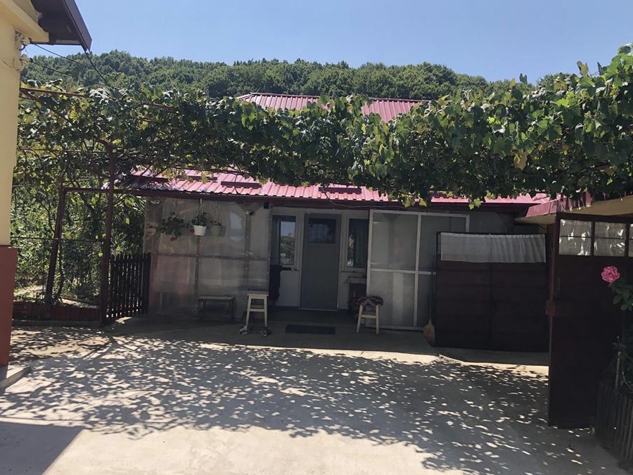 Casa de vanzare Dobrogostea, Arges