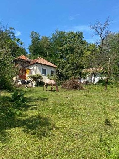 Casa de vanzare in Boteni Arges