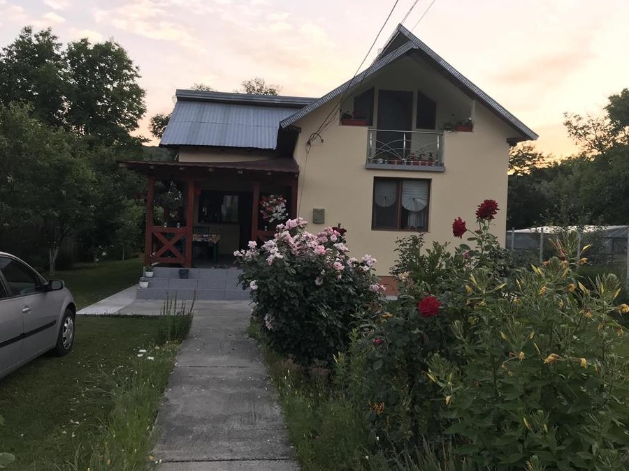 Casa de vanzare in Zgripcesti-Negresti Arges