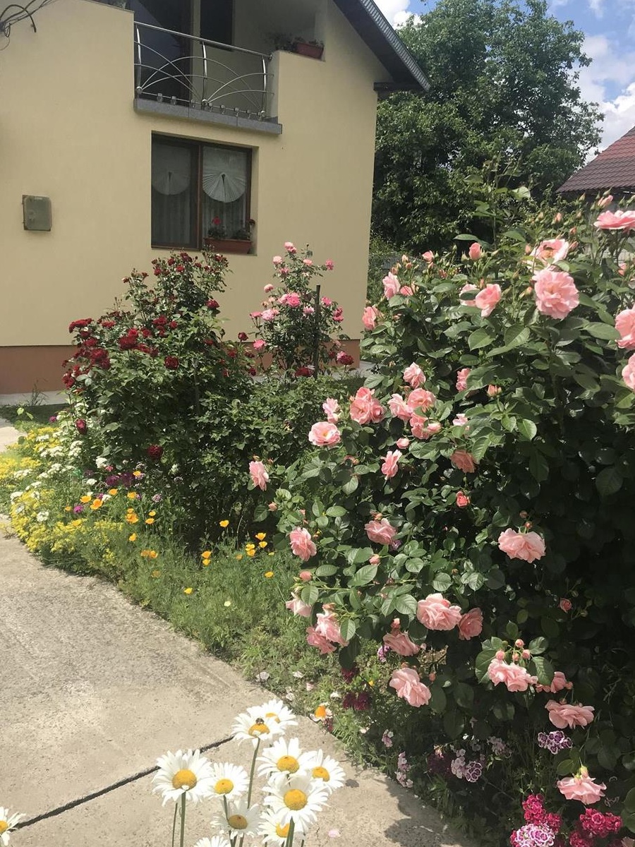 Casa de vanzare in Zgripcesti-Negresti Arges