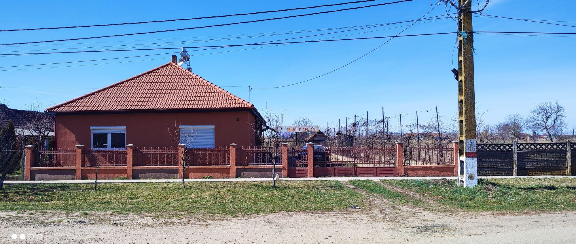 Casa de vanzare jud Satu Mare, Agris