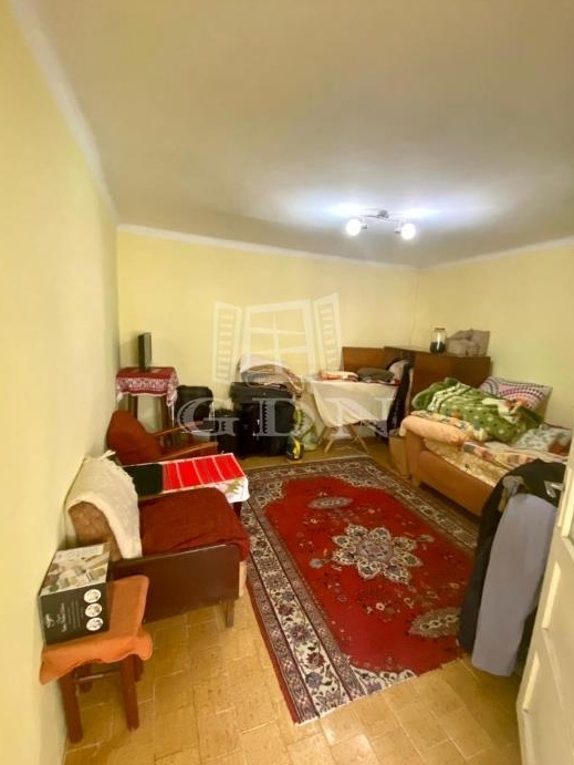Casa de vanzare Timisoara, Fratelia