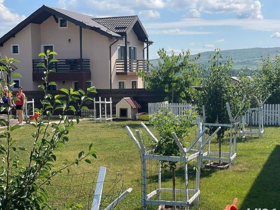 Casa de vânzare Vișan