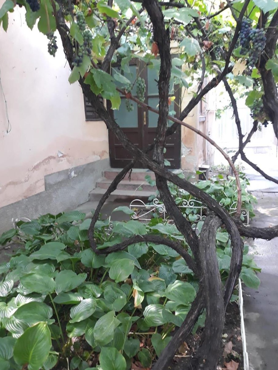 Casa de vanzare,Arad,Bujac