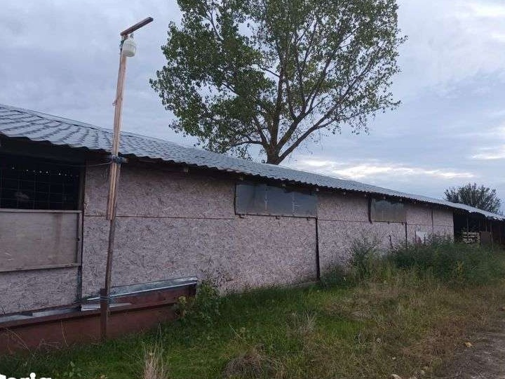 Casa + ferma zootehnica