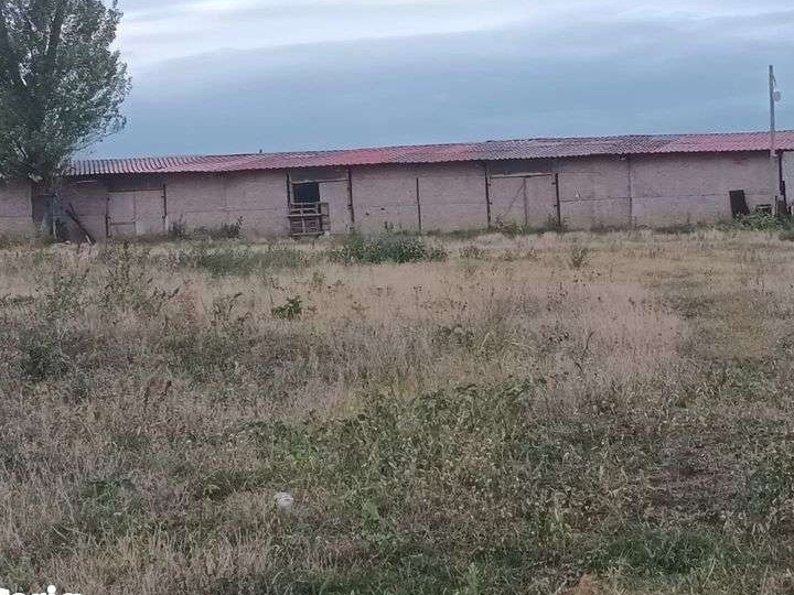 Casa + ferma zootehnica