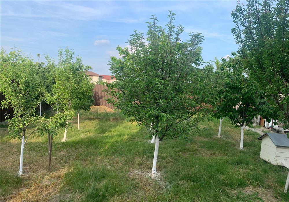 CASĂ INDIVIDUALĂ in Sacalaz, Parter+Mansarda, suprafața teren 790 mp, pret 190000 euro negociabil