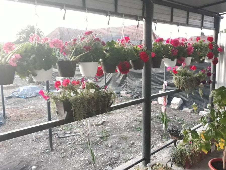 Casa insorita la tara zona linistita